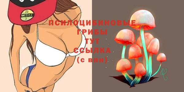 бошки Алзамай