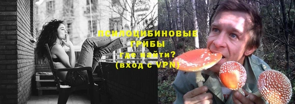 бошки Алзамай