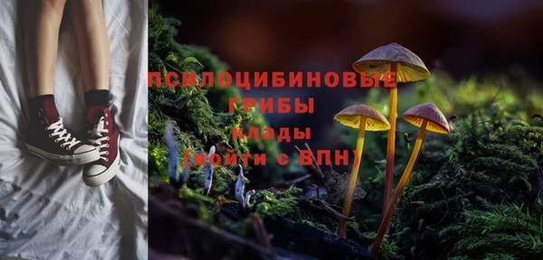 дурь Абдулино