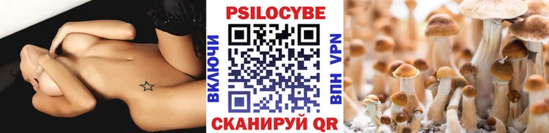 где купить наркотик  Никольское  Галлюциногенные грибы Psilocybe 